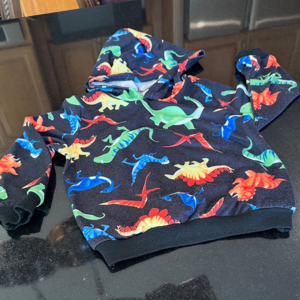 Dinosaur Print Kids Hoodie - Multicolor